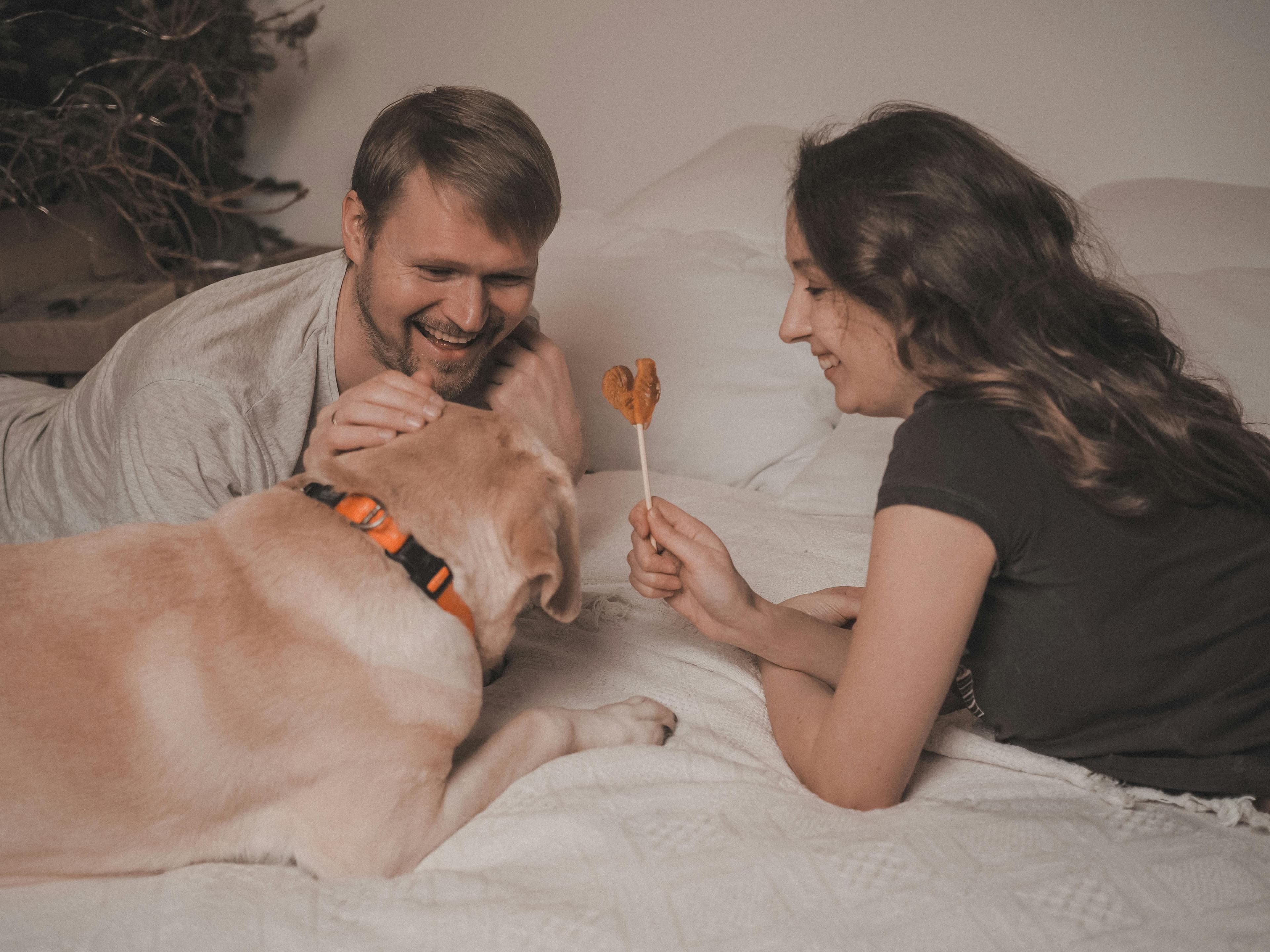 Día Mundial de los Animales: guía para cuidar la ropa en hogares con mascotas