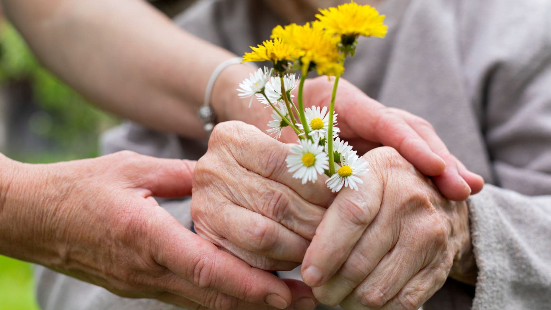 Papa León XIV pide una “revolución del cuidado” hacia las personas mayores